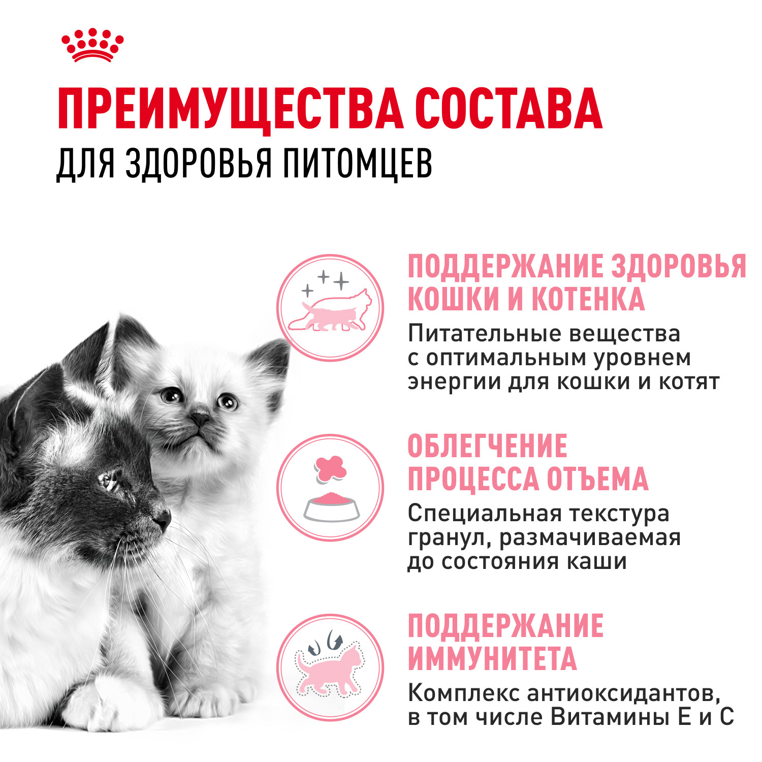 Корм для котят Royal Canin Mother and Babycat 400г - фото 3