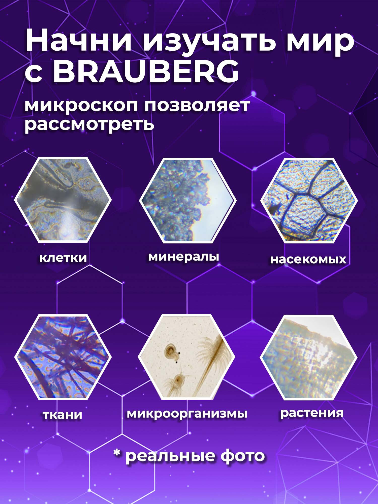 Микроскоп Brauberg - фото 6