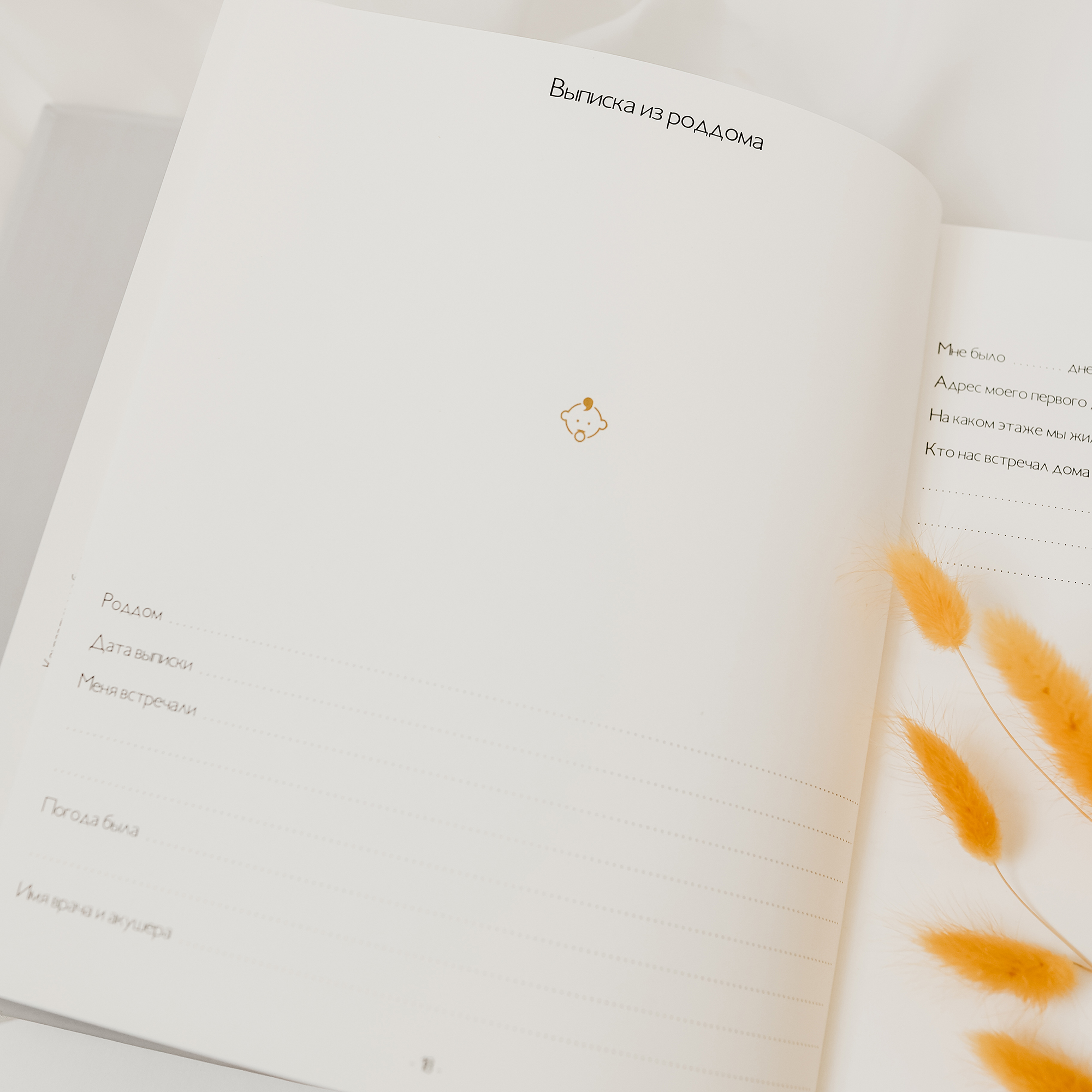Альбом для новорожденных Amabook Лаванда - фото 6