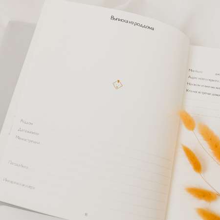Альбом для новорожденных Amabook Лаванда