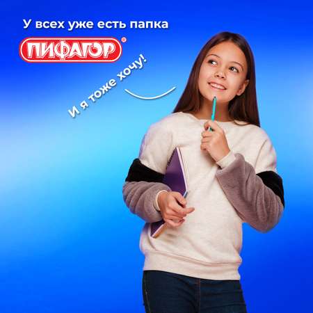 Папка для тетрадей Пифагор А4