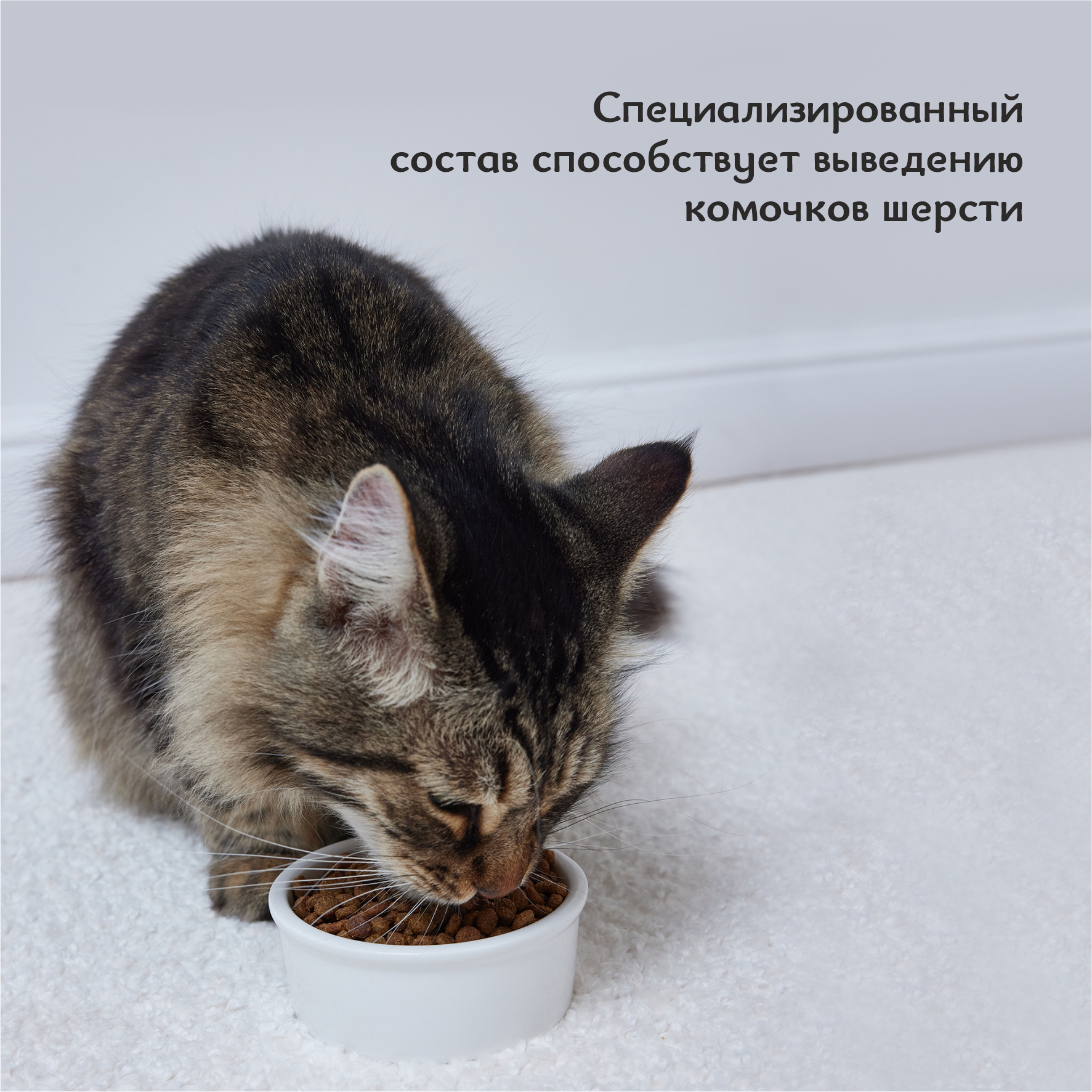 Корм для кошек Roybis 0.4кг для взрослых домашних пород с курицей сухой - фото 5