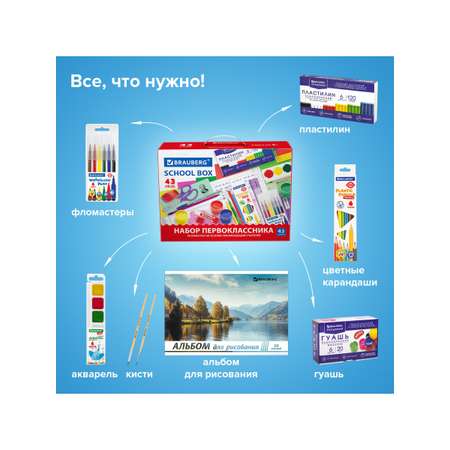Набор школьника Brauberg 43 предм.