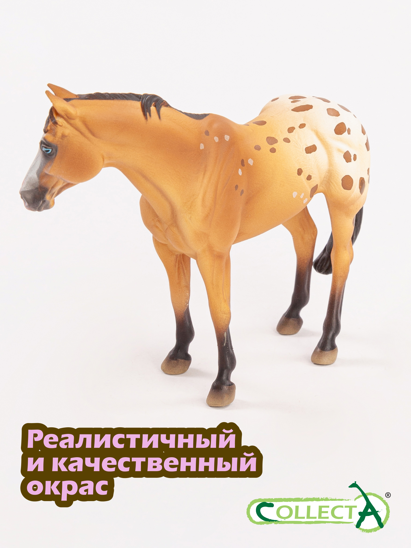 Фигурка Collecta Лошадь жеребец Аппалузы - фото 4