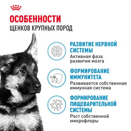 Корм для щенков ROYAL CANIN Maxi Puppy 3кг