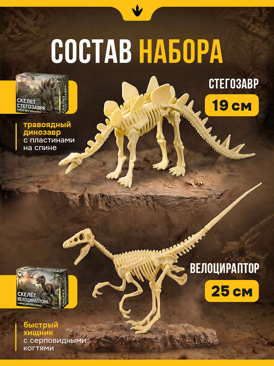 Набор для раскопок DINOHIT Динозавры 5в1 - фото 4