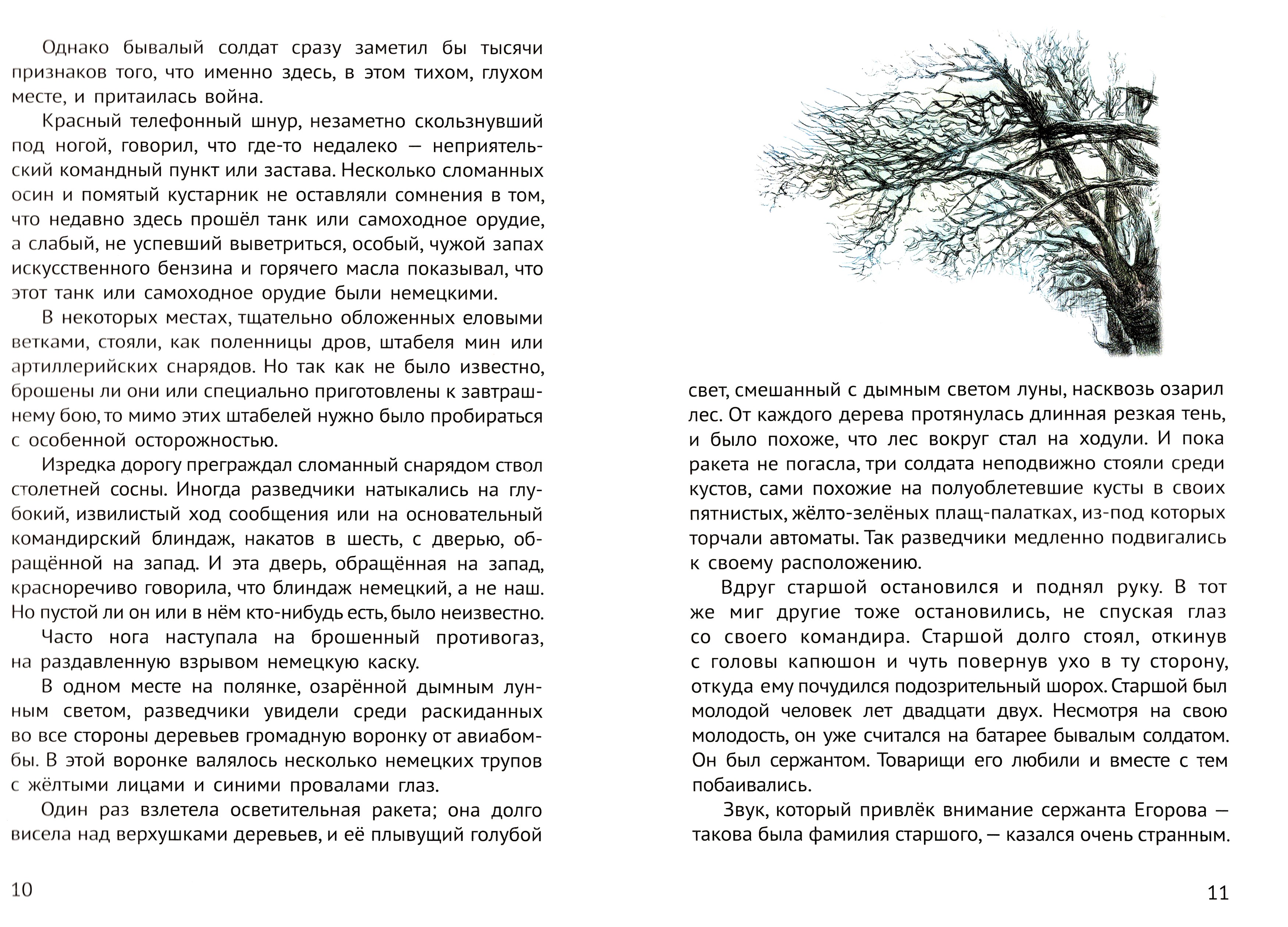Книга Качели Сын полка - фото 6