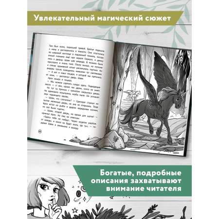 Книга Феникс Премьер Долина говорящих водопадов. Фантастика для детей