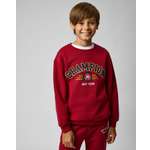 Свитшот Futurino