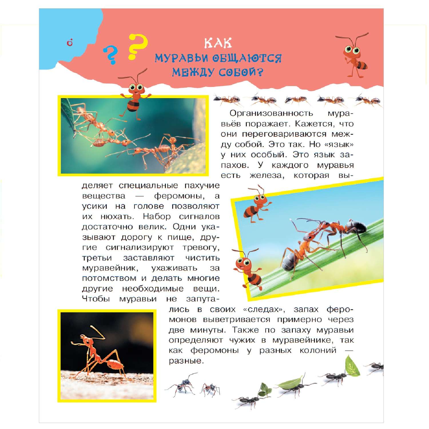 Энциклопедия АСТ Большая книга почему - фото 2