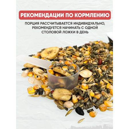 Корм лакомство GRANOFEED для шиншилл 800 г