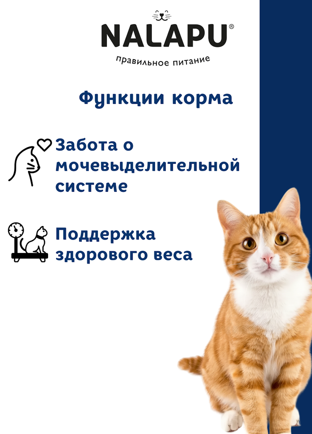 Корм для кошек NALAPU Sterilized для стерилизованных с говядиной в желе 77г - фото 3