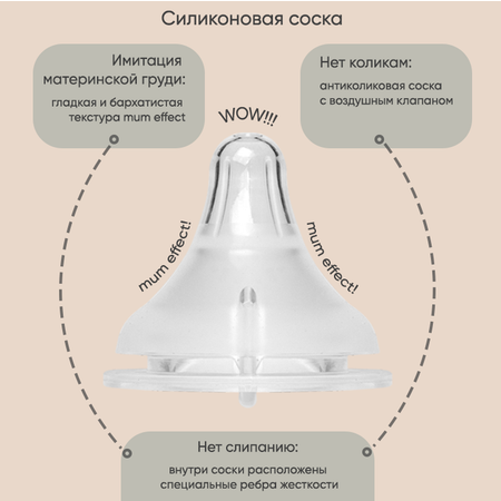 Соска Paomma Anti-Colic силикон L (быстрый поток) 2 шт.