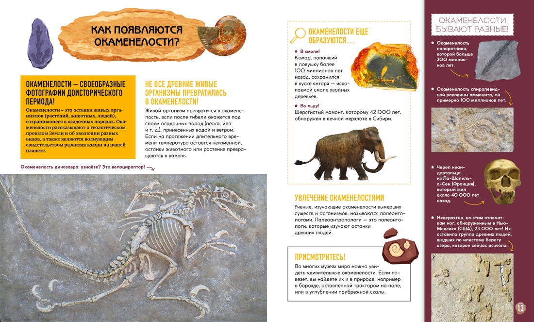 Книга Махаон Первобытное искусство. Сокровища древних пещер. - фото 4