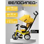 Трехколесный велосипед Velobibi 10 дюймов