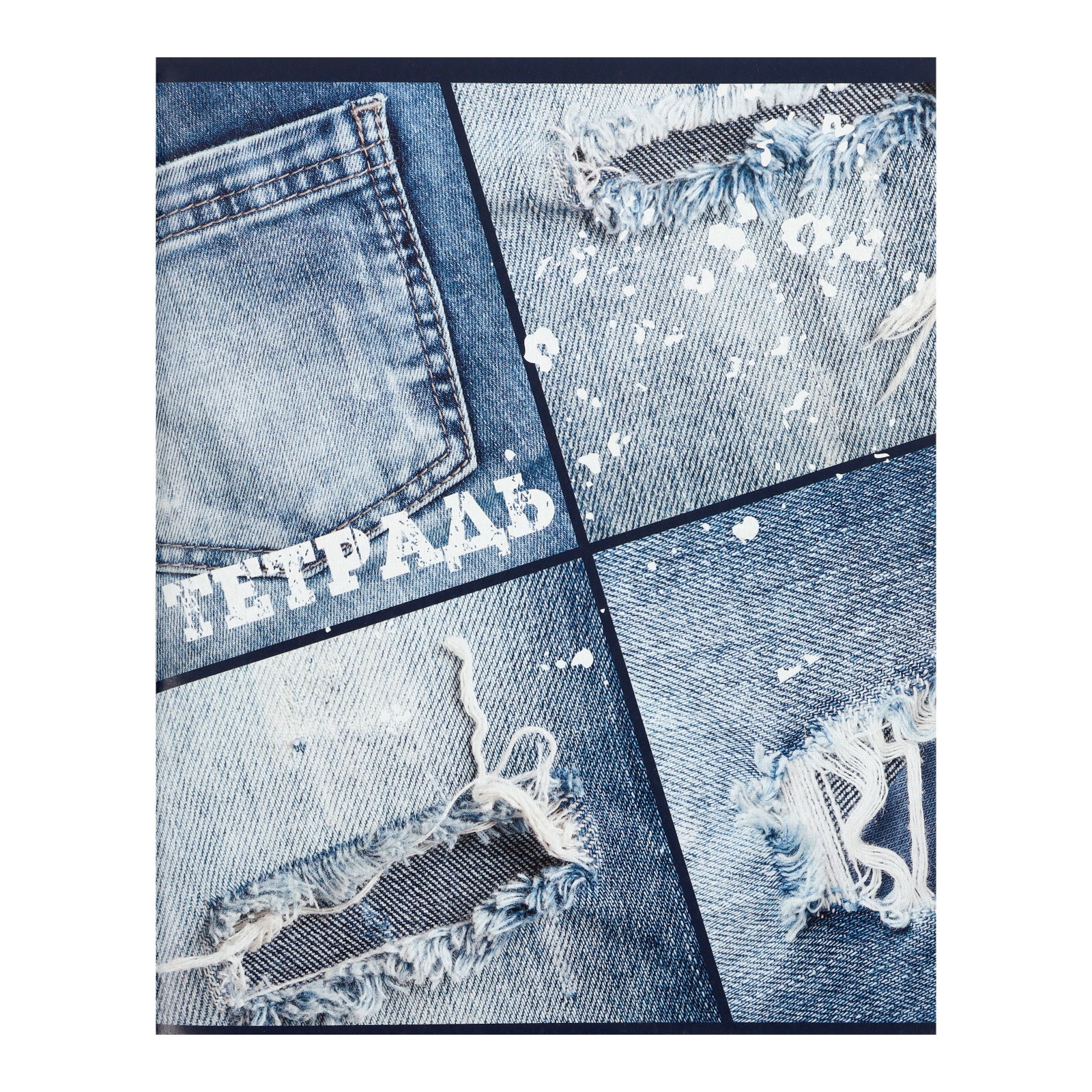 Общая тетрадь Calligrata клетка 96 лист. 4 шт. - фото 2