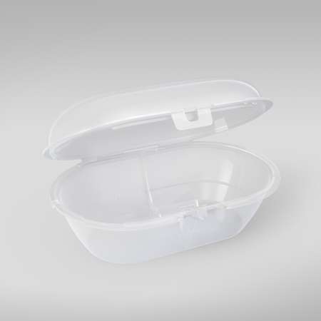 Пустышка Philips Avent ортодонтическая от 0 мес. 2 шт.