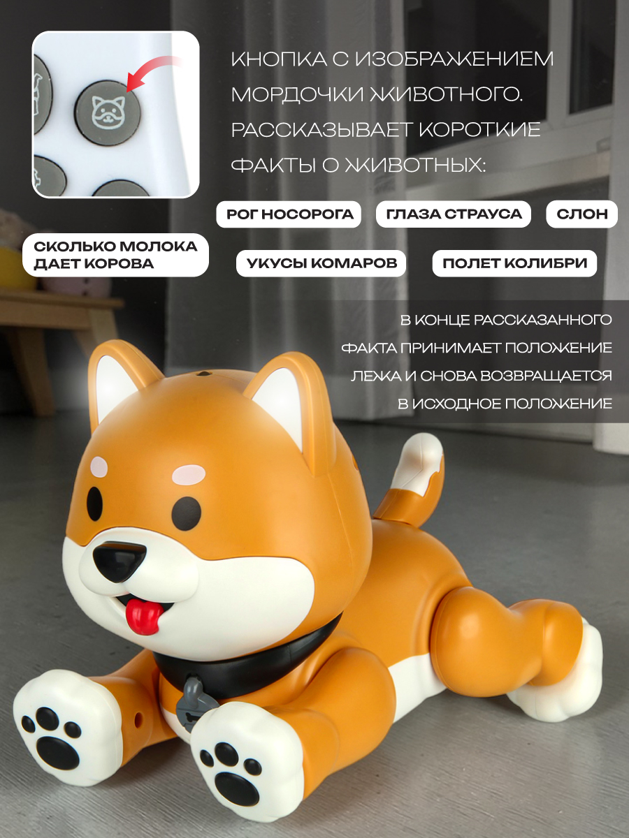 Собака РУ Veld Co - фото 3