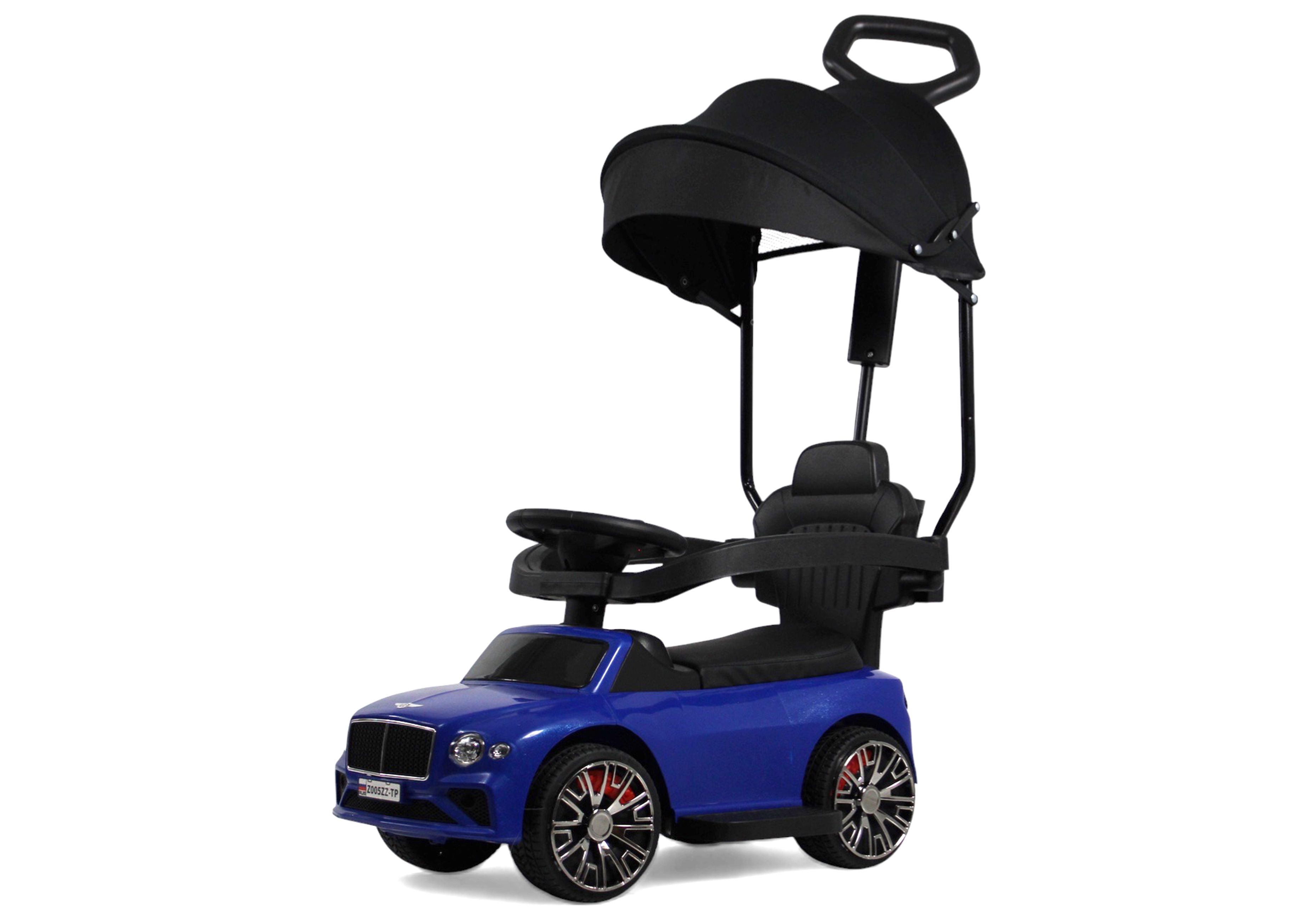 Каталка RIVERTOYS Z005ZZ-TP-BLUE синий - фото 20