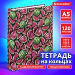 Тетрадь со сменным блоком Brauberg клетка 120 лист.