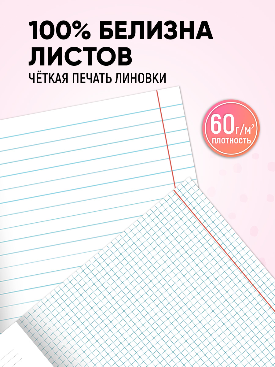 Тетрадь Prof-Press 24 лист. 10 шт. (Иностранный язык, Биология, История, Русский язык, Литература, Алгебра) - фото 7