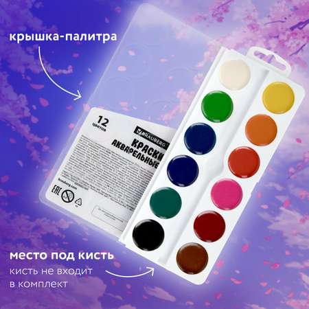 Краски акварель Brauberg 12 цв.