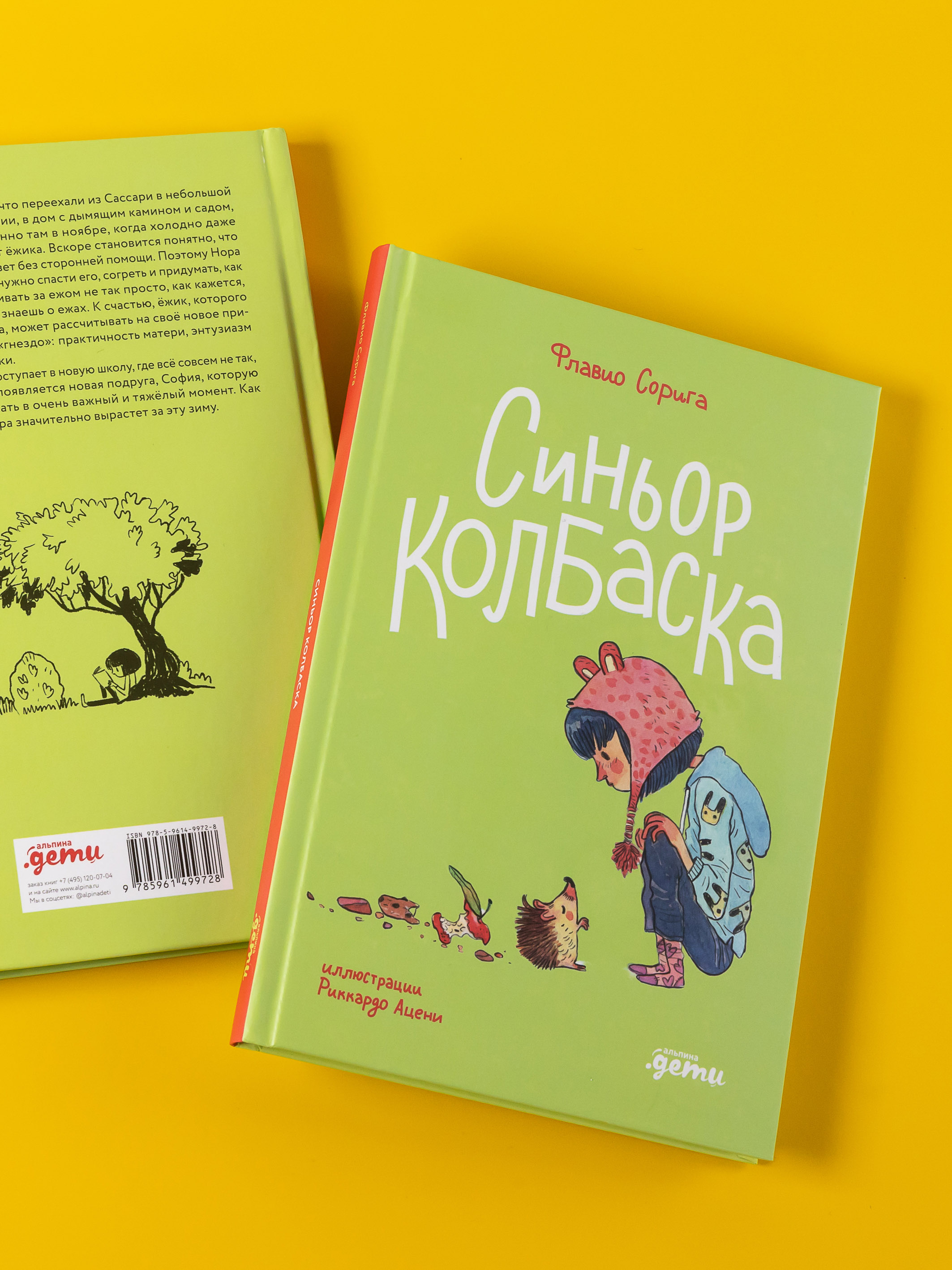 Книга Альпина. Дети Синьор Колбаска : История о ёжиках дедушках и бабушках и об изменении климата - фото 3