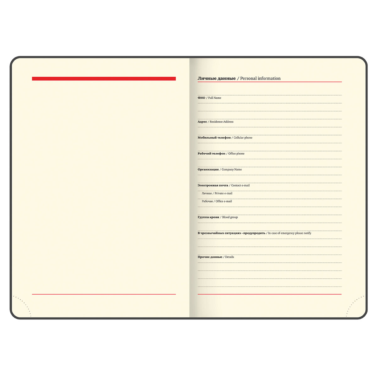 Ежедневник Brauberg Stylish 160 лист. - фото 10