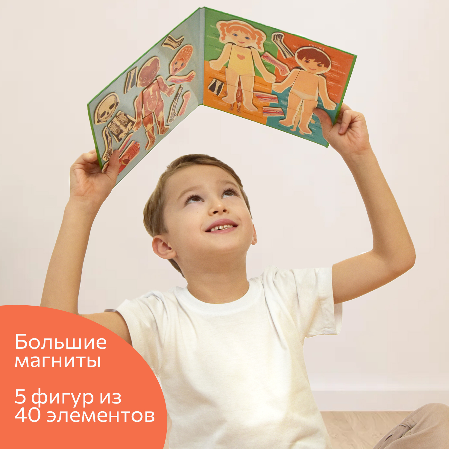 Настольная игра Бигр Тело человека - фото 4
