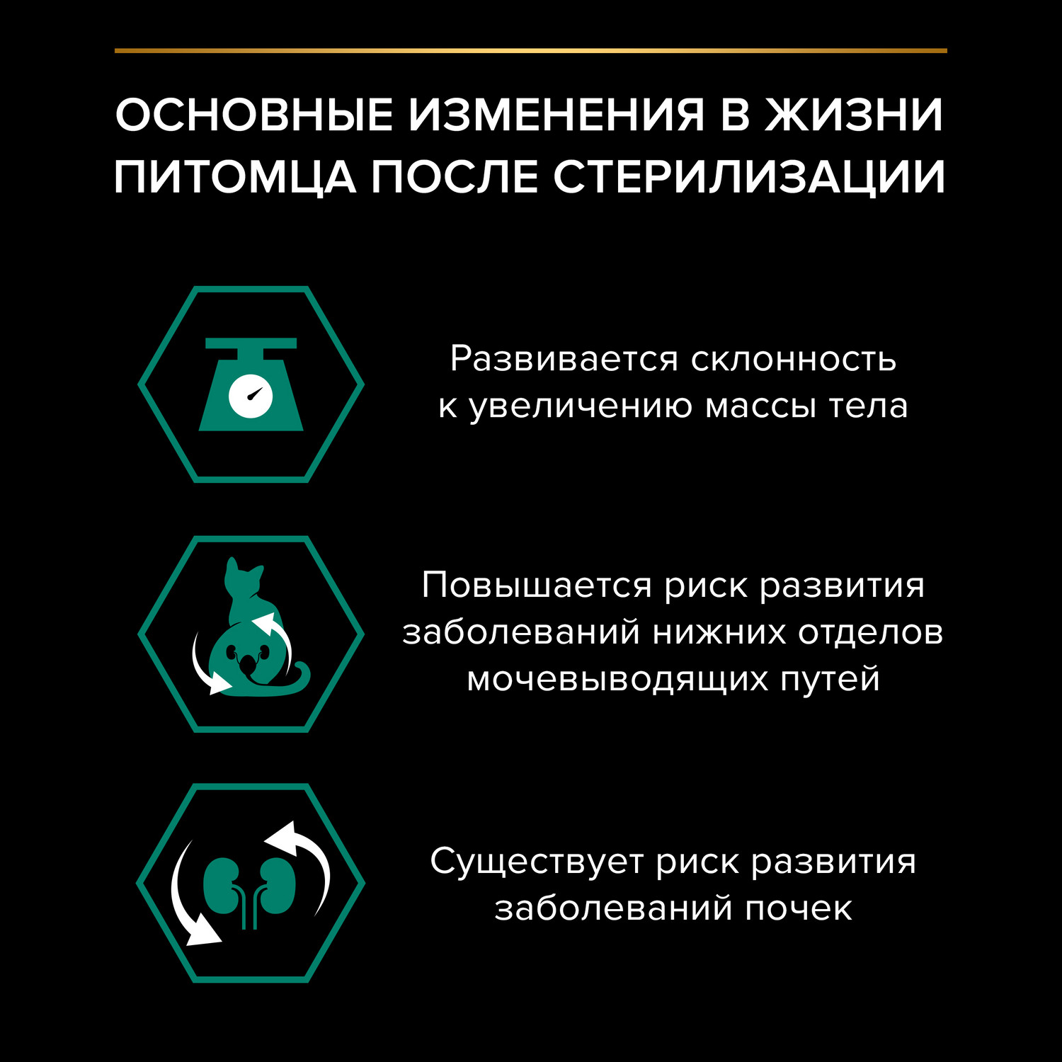 Корм сухой для кошек PRO PLAN 400г с кроликом при стерилизации и кастрации - фото 3
