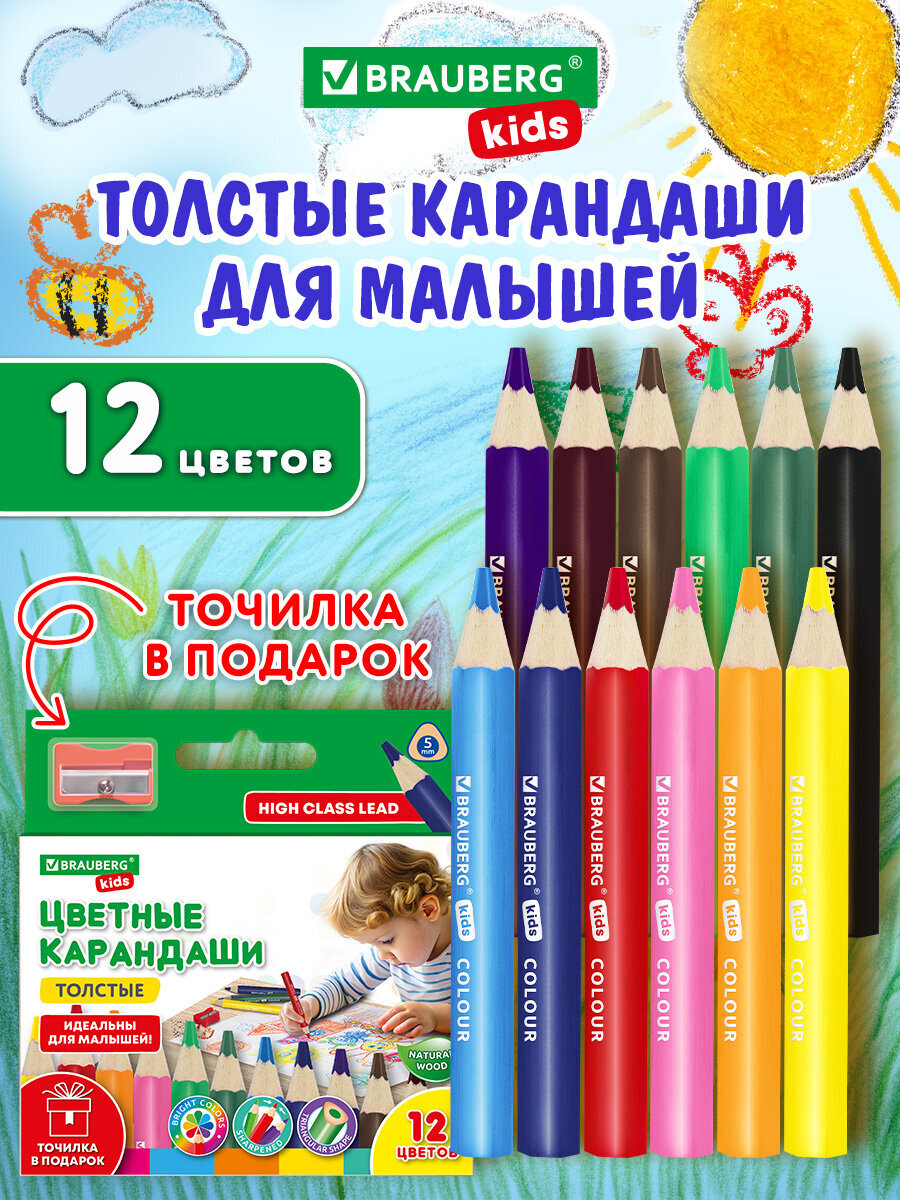 Карандаши цветные Brauberg 12 шт. - фото 1