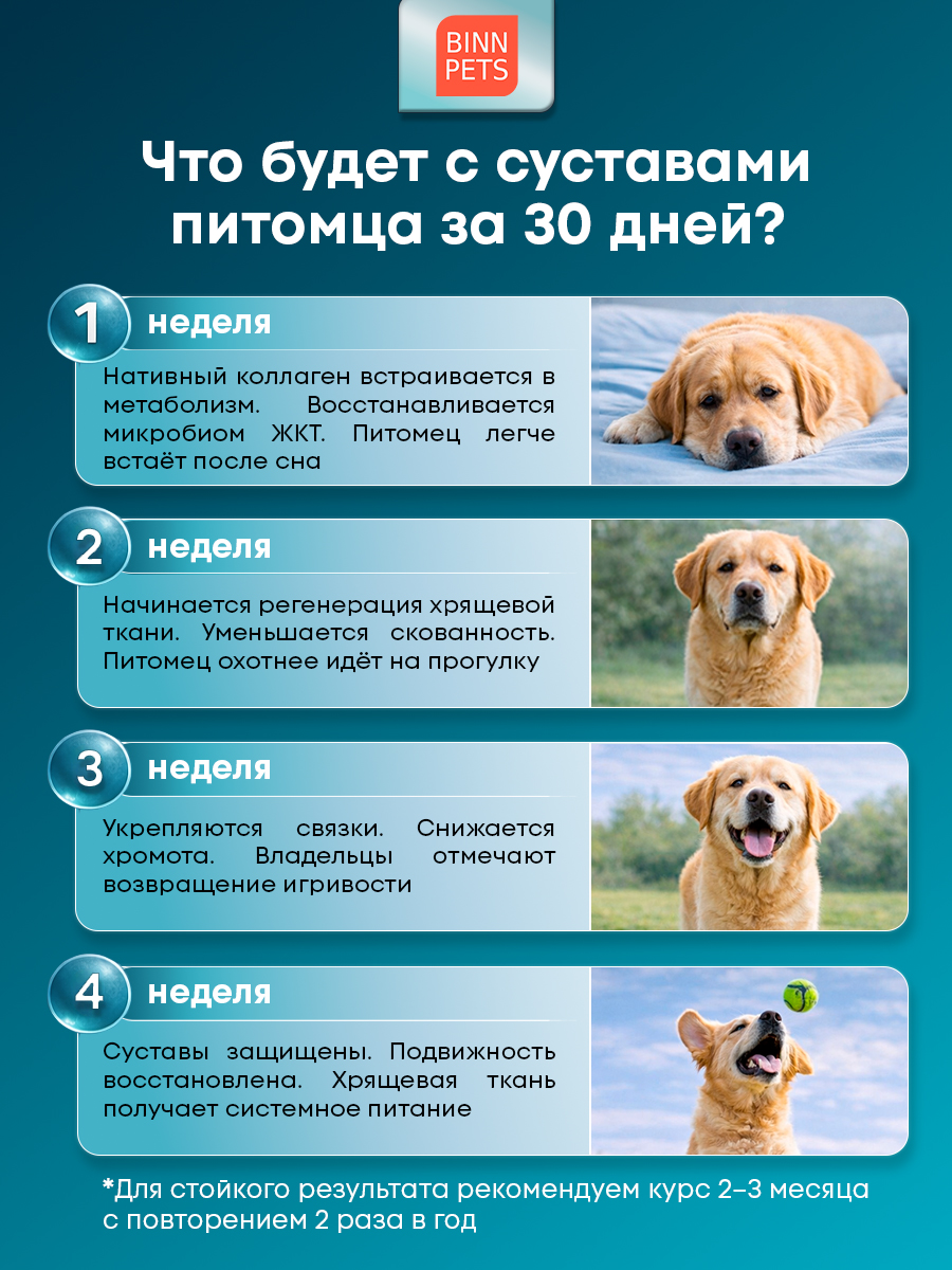 Морской коллаген PETS BIN Суставы и кости 70 г - фото 5