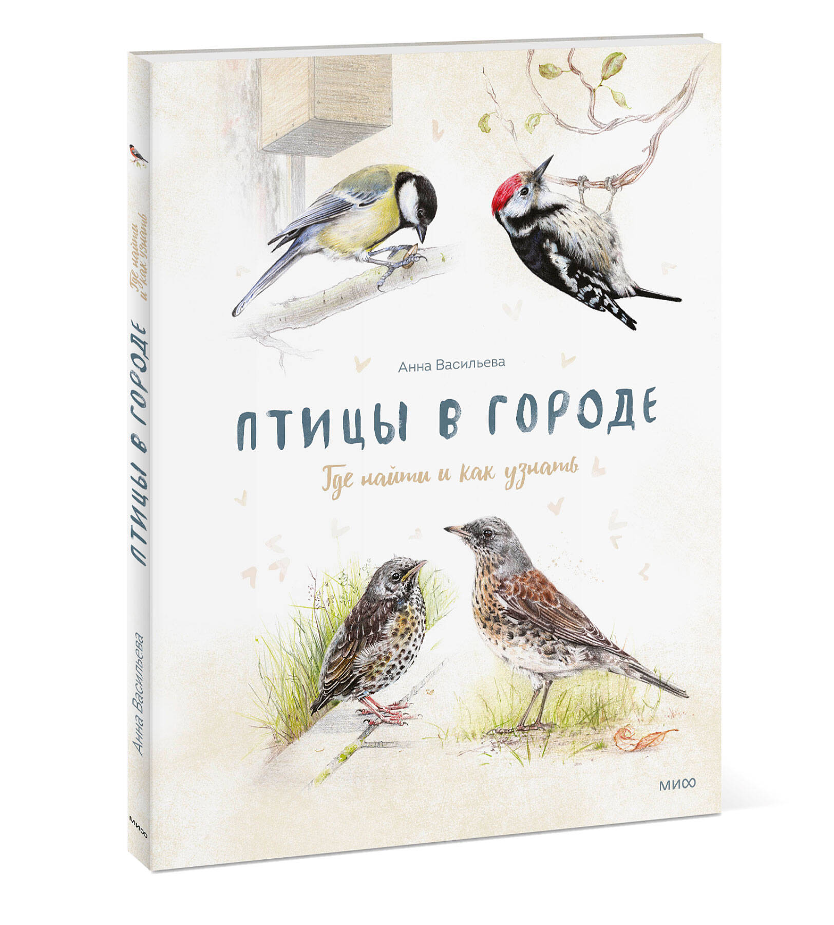 Книга Миф Птицы в городе. Где найти и как узнать - фото 5