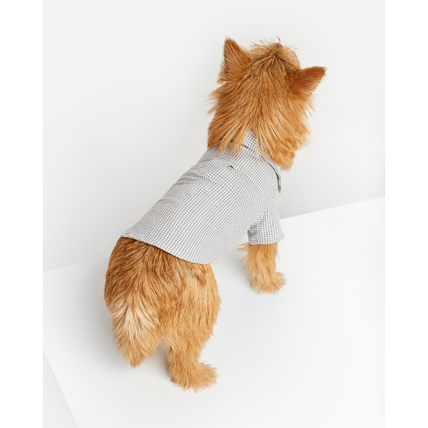 Рубашка для собак Зоозавр серая 35 - фото 7