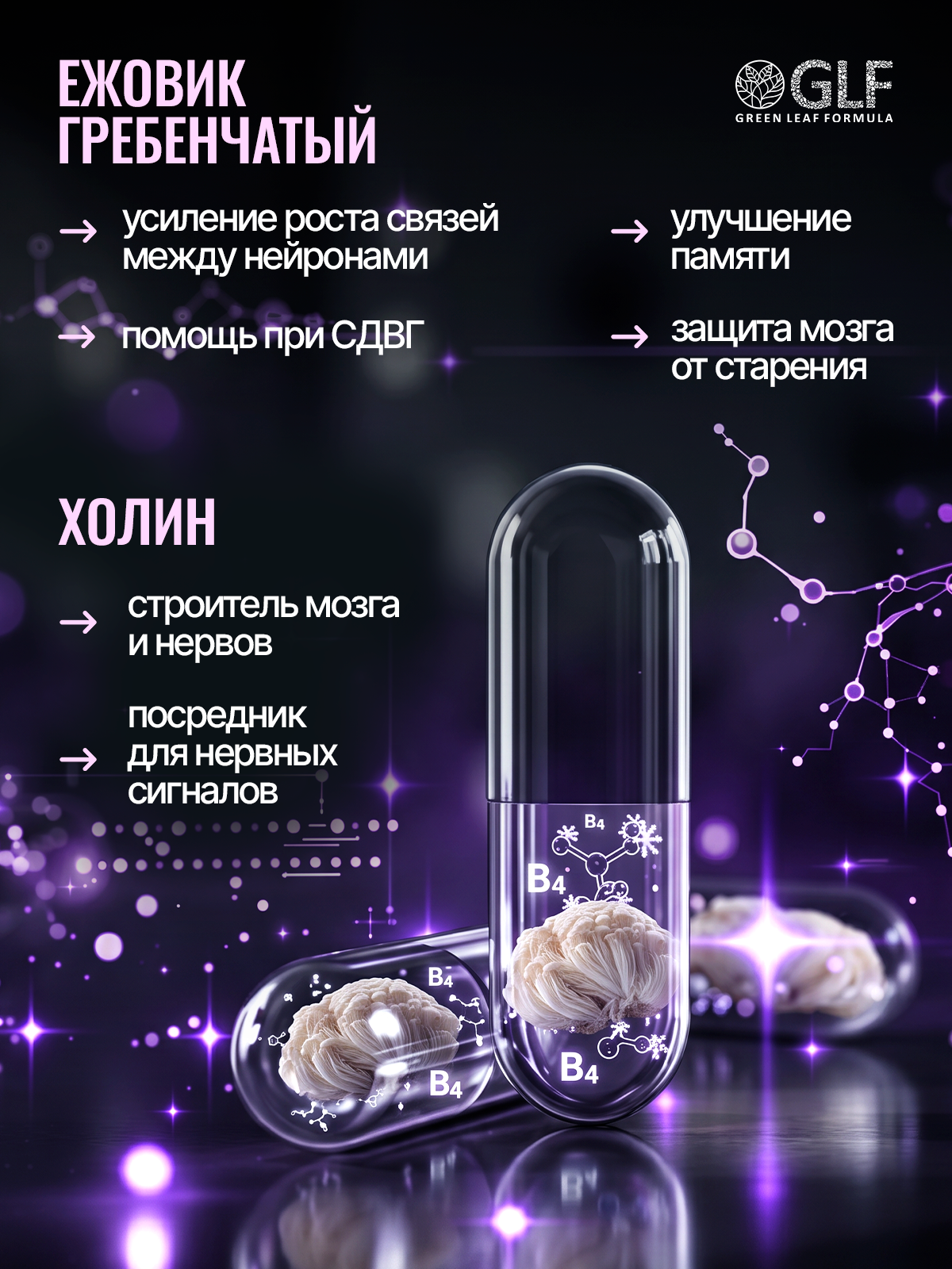 Ежовик гребенчатый с холином ноотропы Green Leaf Formula витаминный комплекс для мозга памяти концентрации внимания - фото 3