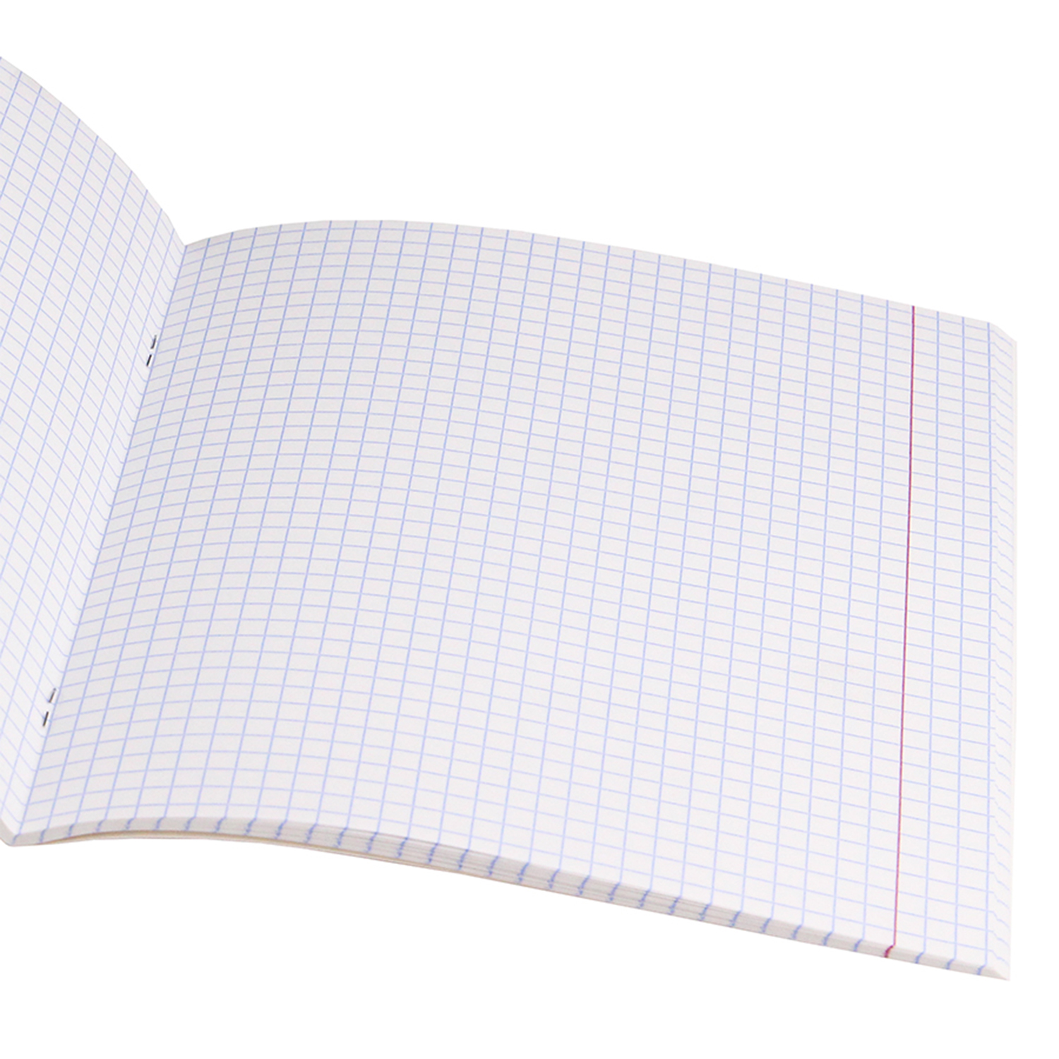 Тетрадь Prof-Press клетка 18 лист. 10 шт. - фото 4