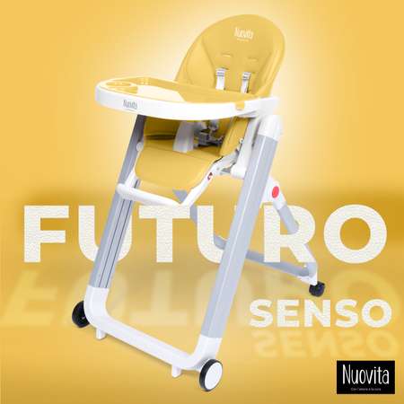 Стульчик для кормления Nuovita Futuro Senso классический