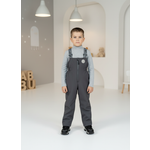 Полукомбинезон Arctic kids