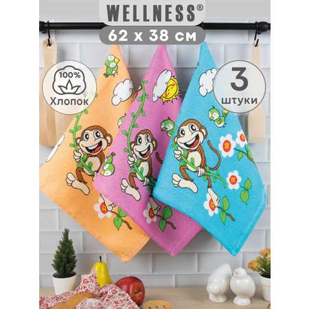 Комплект полотенец кухонных Wellness Монти_C Набор_3