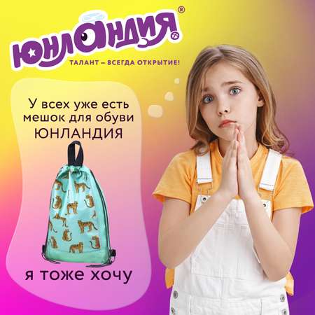 Мешок для обуви Юнландия