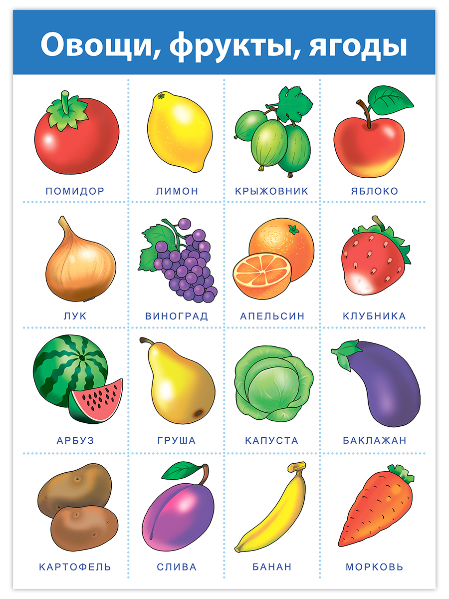 Настольная игра Дрофа-Медиа - фото 9