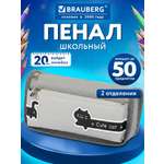 Пенал Brauberg длинный кот