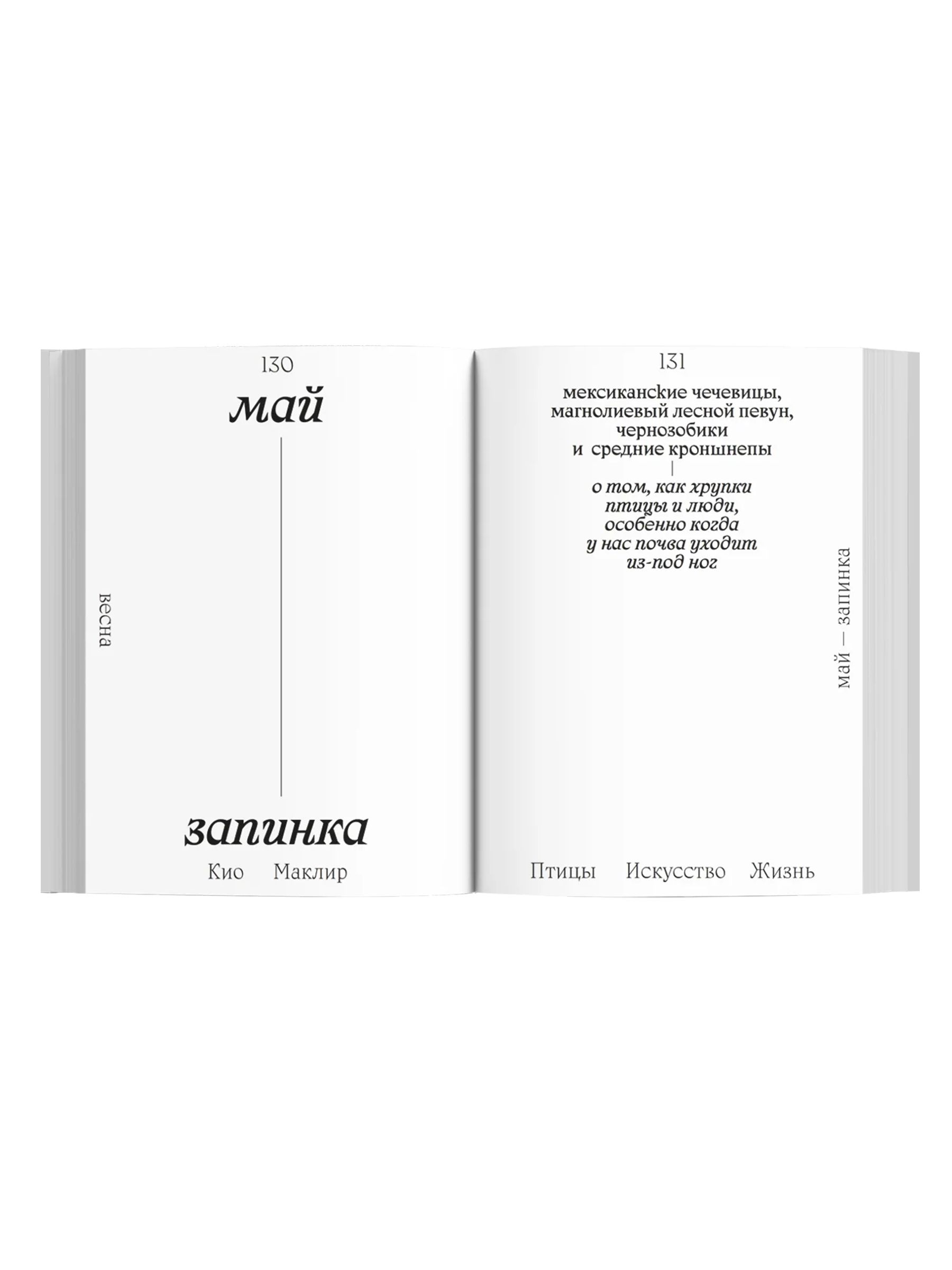 Книга Ad Marginem Птицы искусство жизнь год наблюдений - фото 4