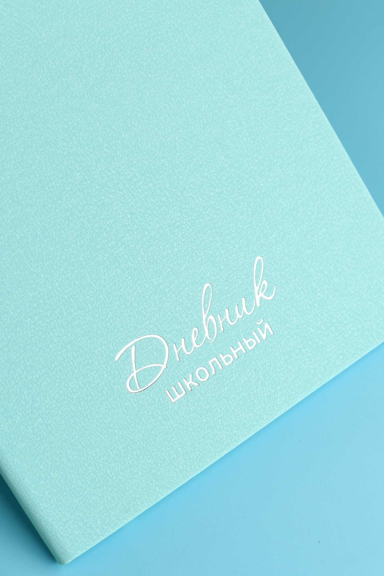 Дневник школьный Феникс + Жемчуг мятный - фото 5