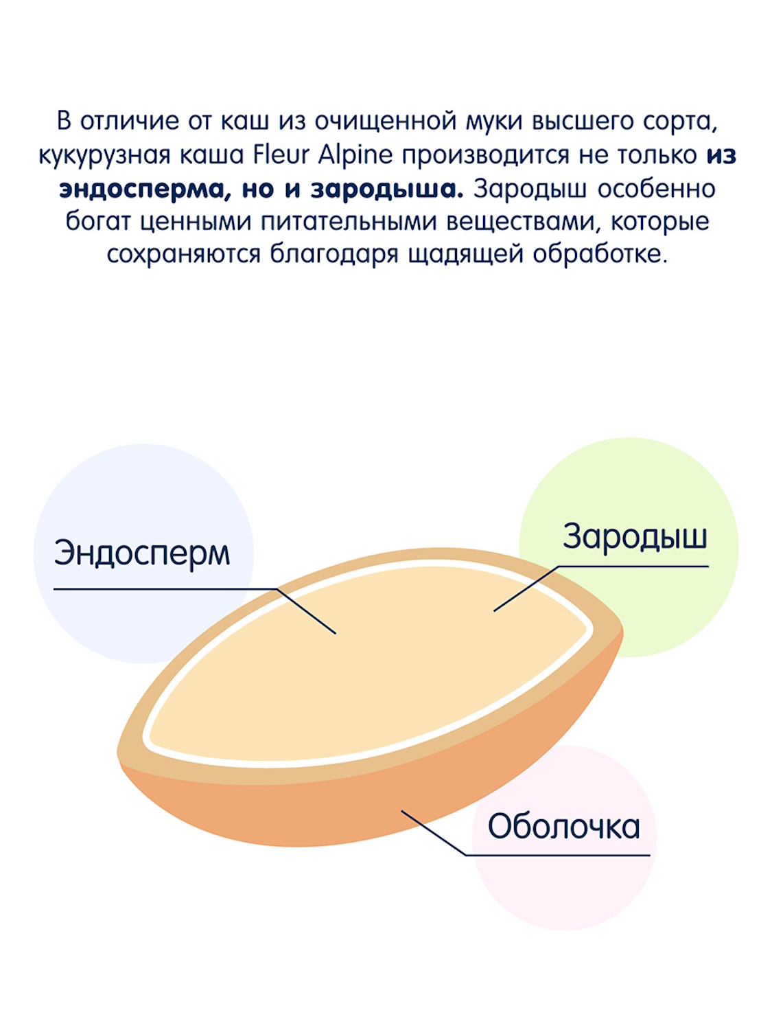 Каша Fleur Alpine безмолочная кукурузная с пребиотиками гипоаллергенная 175г с 5мес - фото 6