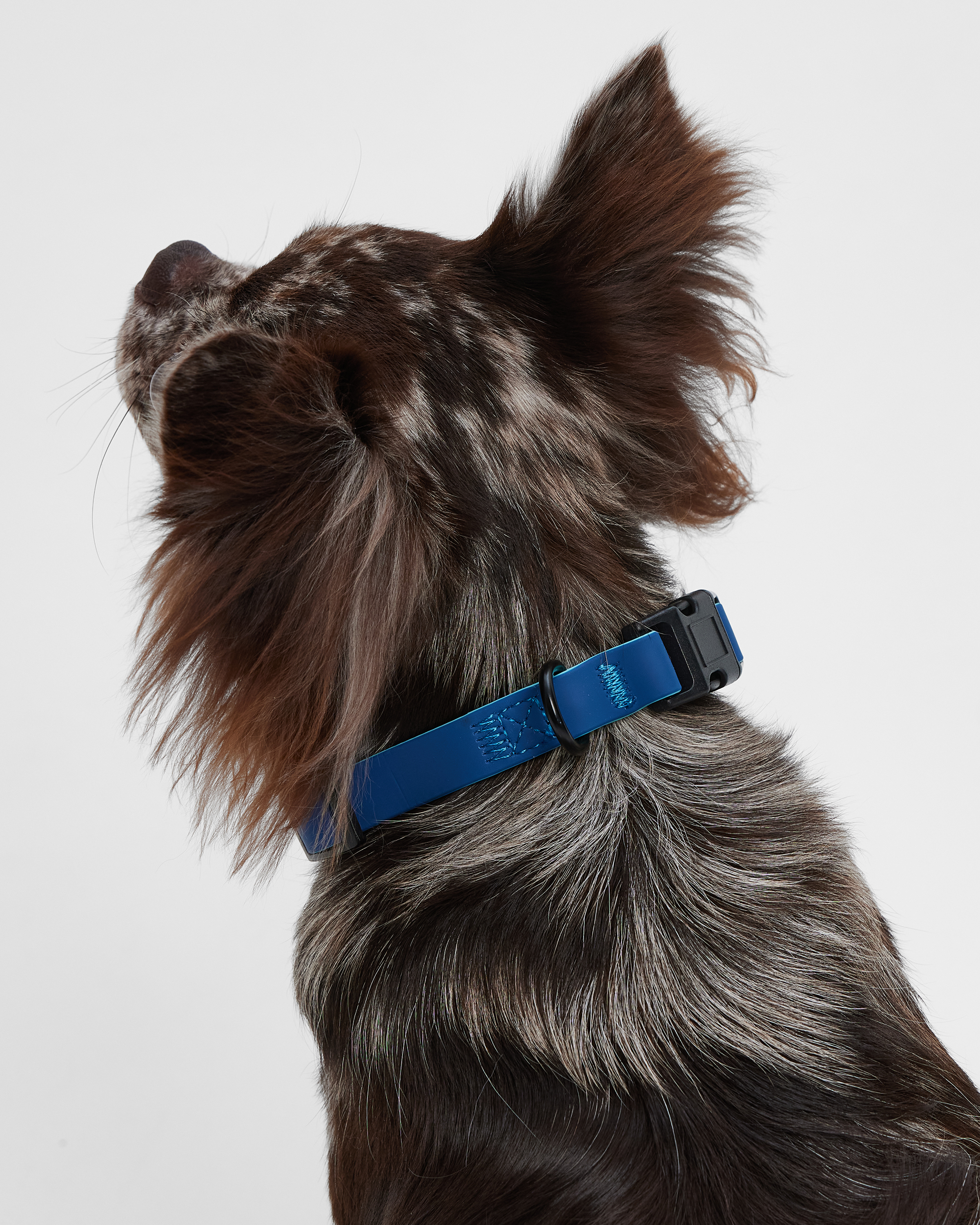 Ошейник для собак мелких пород Barbaks синий водостойкий ПВХ S (1.5*27-40см) - фото 3
