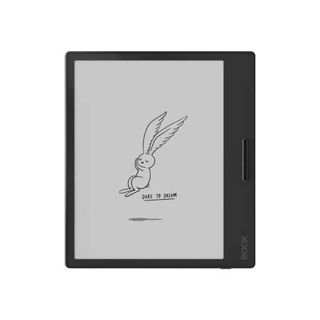Электронная книга ONYX BOOX Page