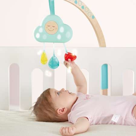 Игрушка Hape погремушка