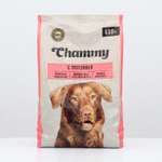 Корм сухой для собак мелких пород Chammy с говядиной 0.6кг