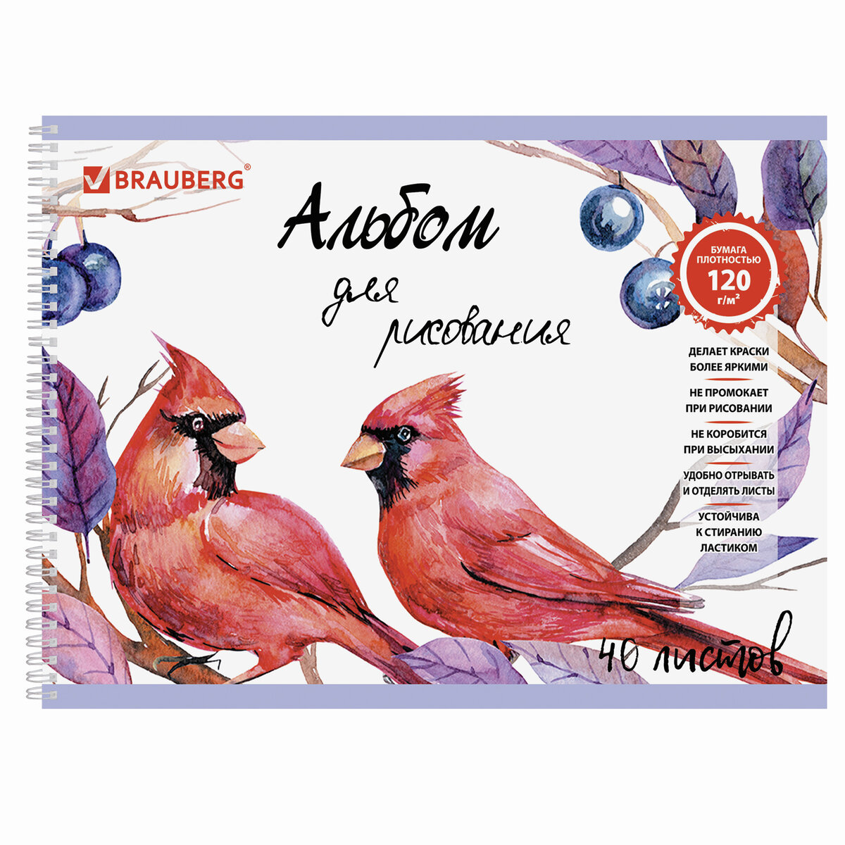 Альбом Brauberg А4 40 лист. 2 шт. - фото 5